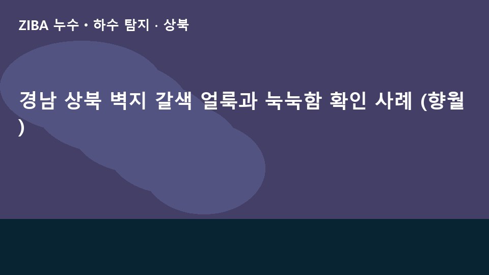 경남 상북 벽지 갈색 얼룩과 눅눅함 확인 사례 (향월)
